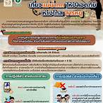 ตรวจหวบ